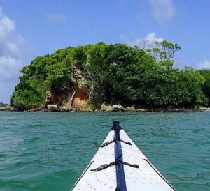 Sea Moss Delight & Kayaking